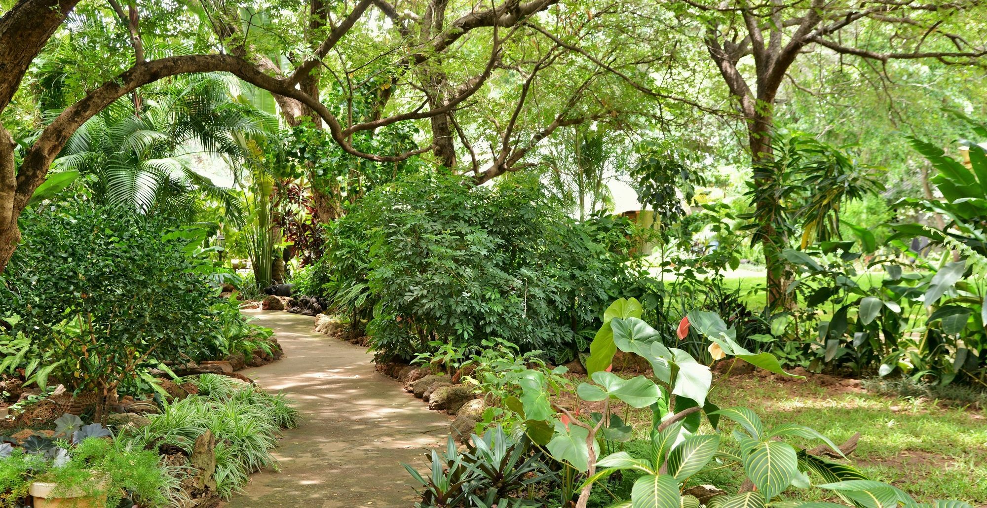 Bayete Guest Lodge Air Terjun Victoria Bagian luar foto