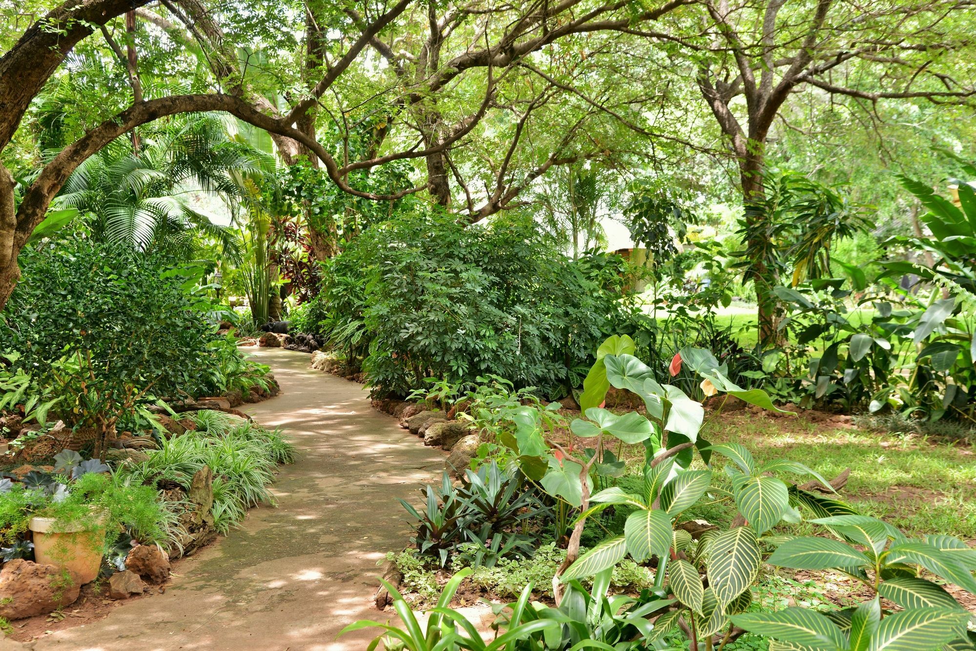 Bayete Guest Lodge Air Terjun Victoria Bagian luar foto